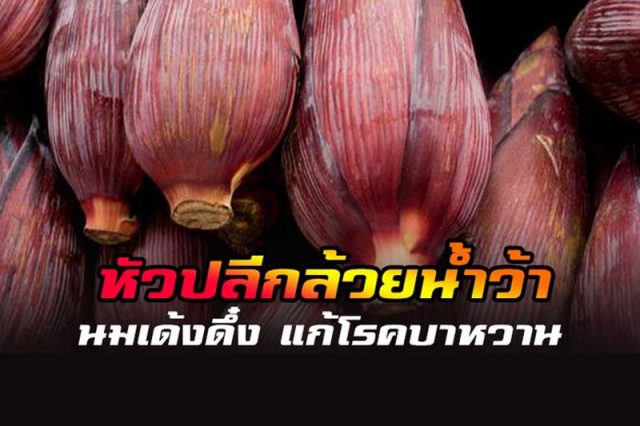 หัวปลี