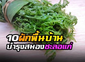 ผักพื้นบ้าน