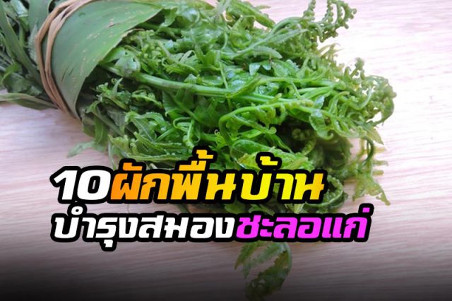 ผักพื้นบ้าน