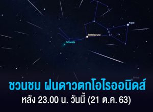 ฝนดาวตกโอไรออนิดส์